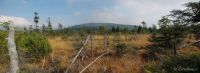 panorama rašeliniště Na Kneipě